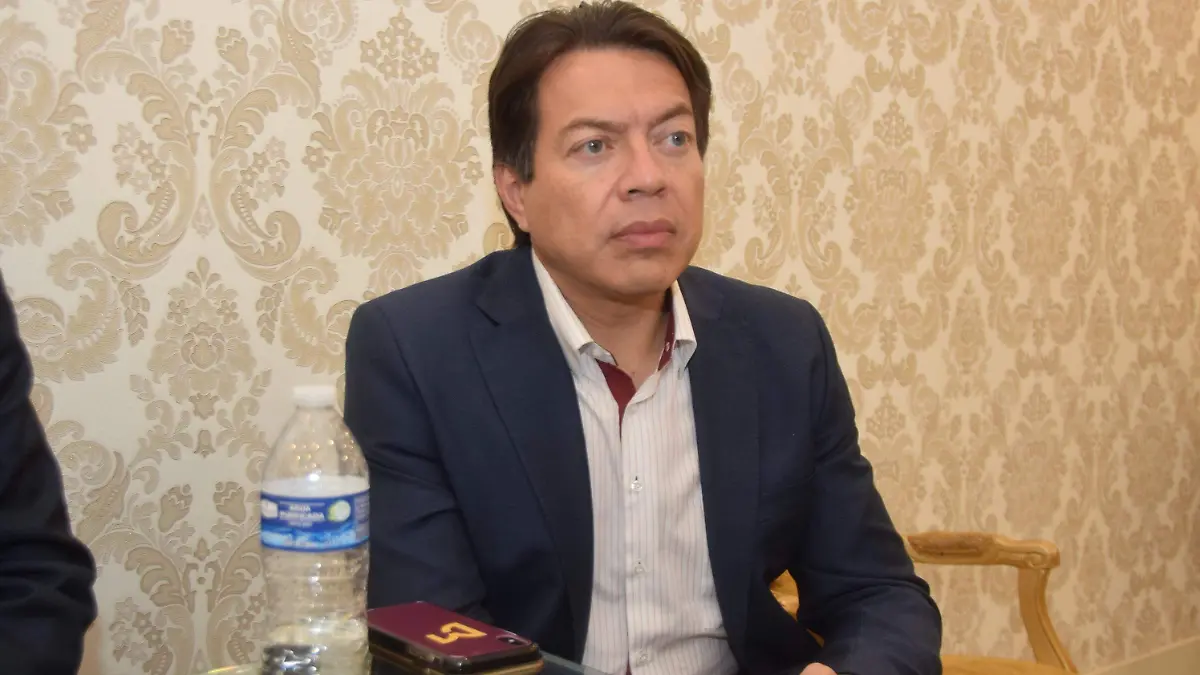 Entrevista Mario Delgado (46)